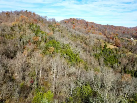 Versatile Land Near Tazewell, TN