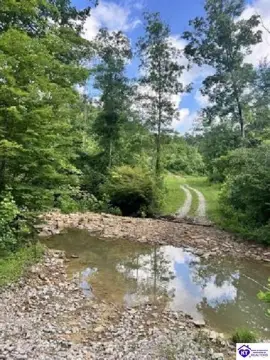 Hunting Land with Timber