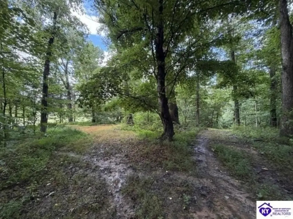 Picture 17