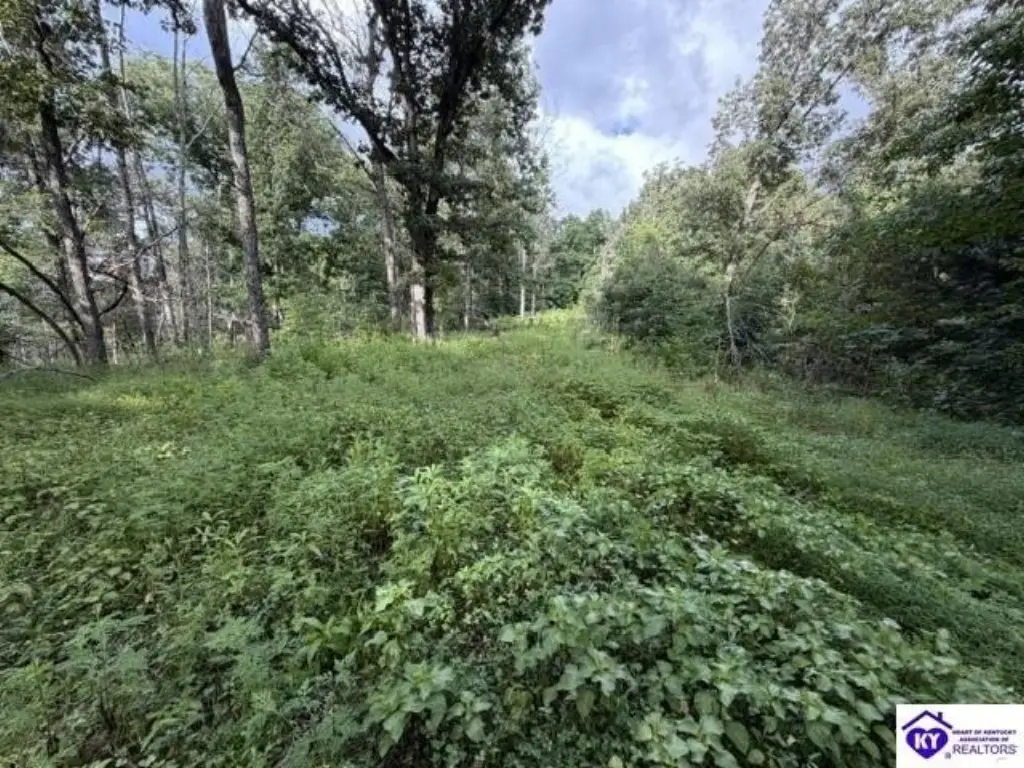 Picture 3