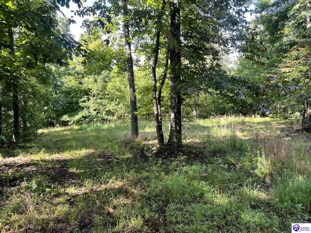 Picture 24