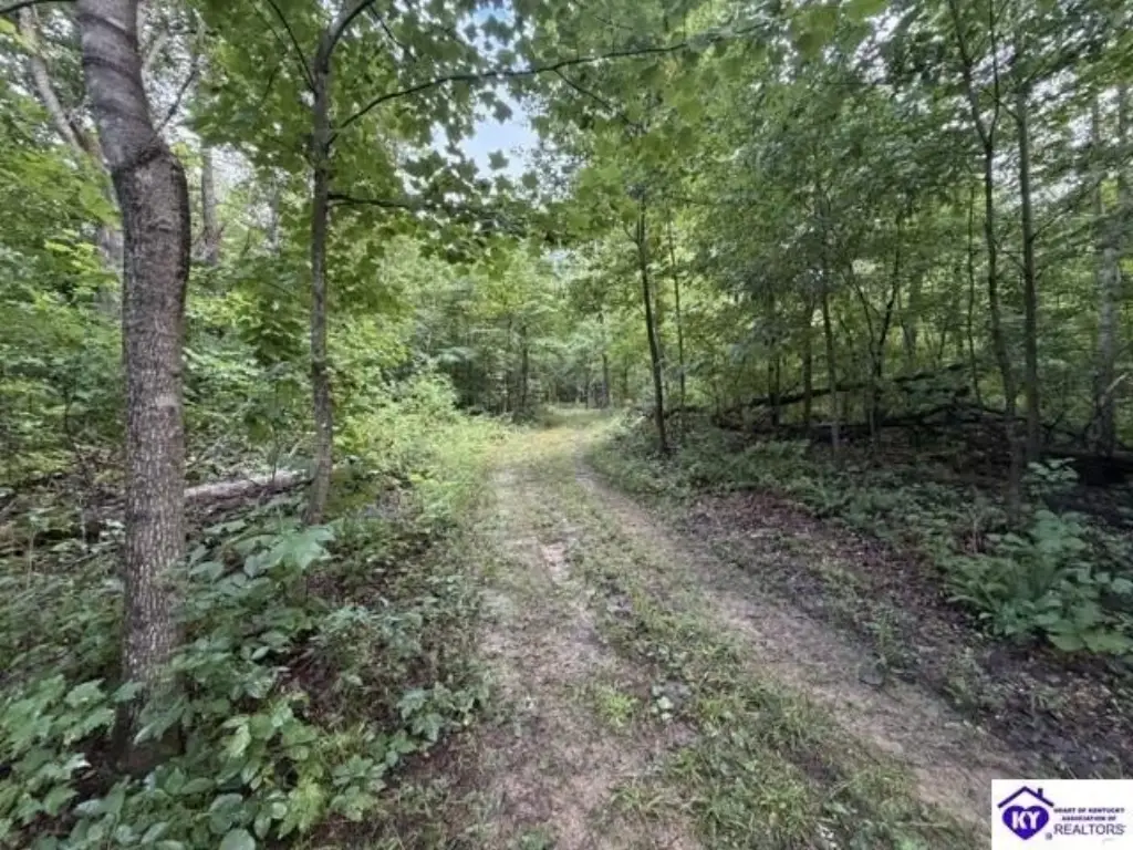 Picture 20