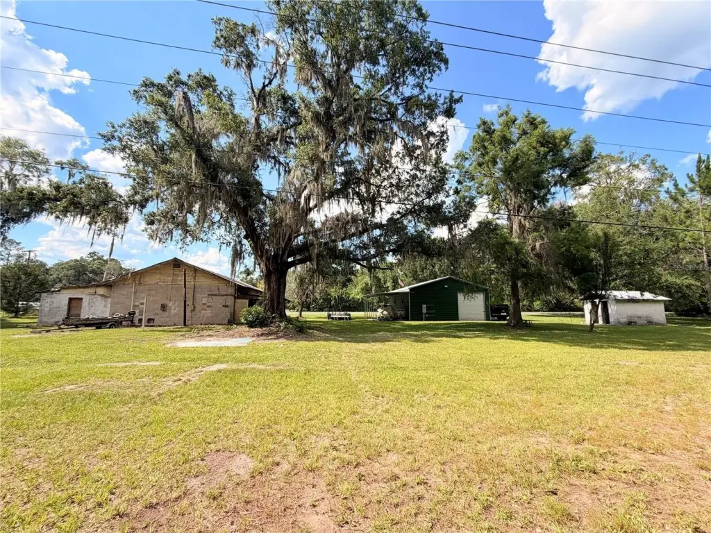 Picture 25