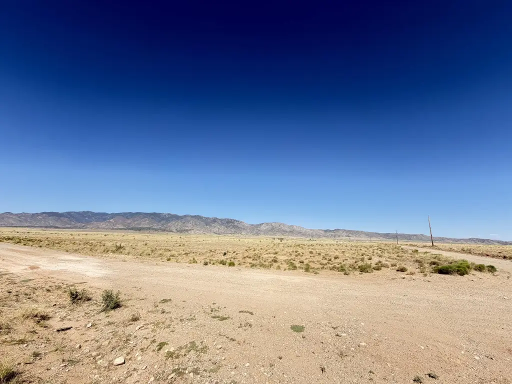 Picture 6
