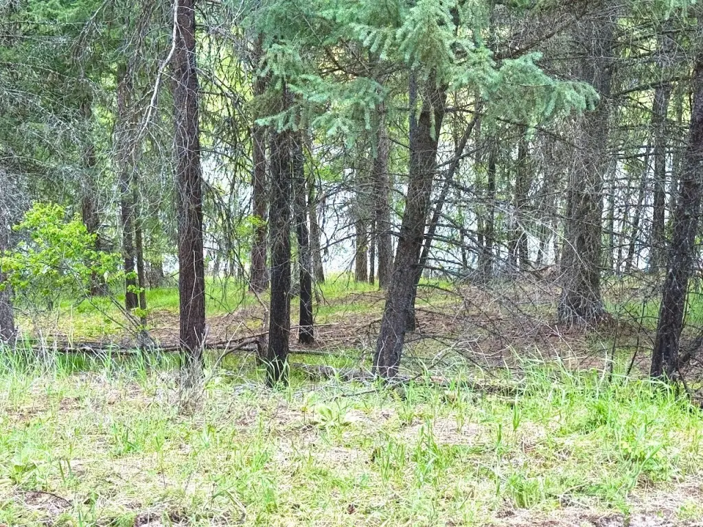 Picture 20