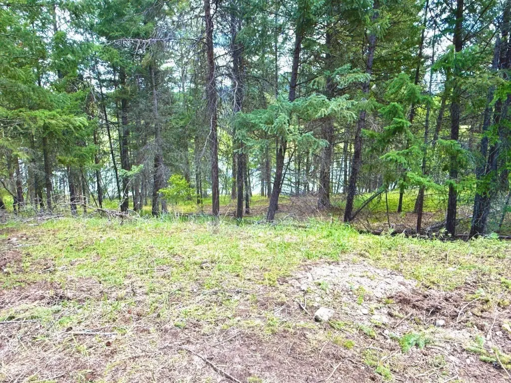 Picture 19