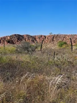 140 Acres of Hunting Land