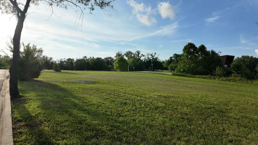 Picture 6
