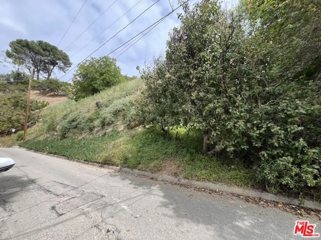 Picture 9