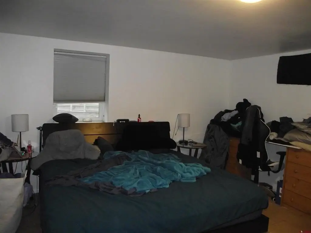 Picture 15