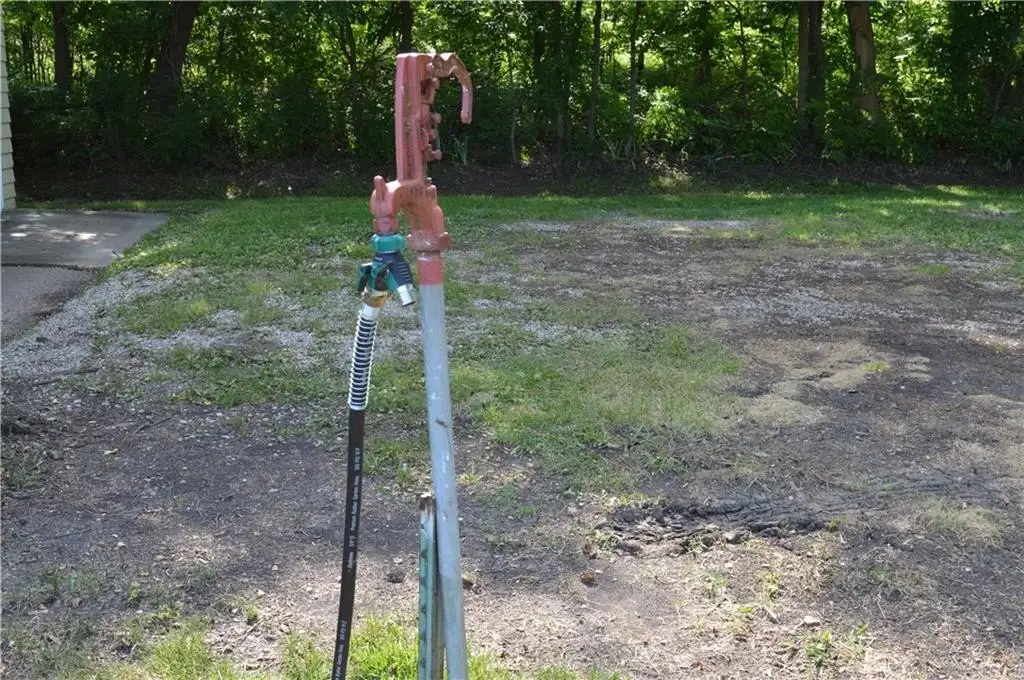 Picture 15