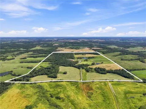 Cattle Farm With Country Home