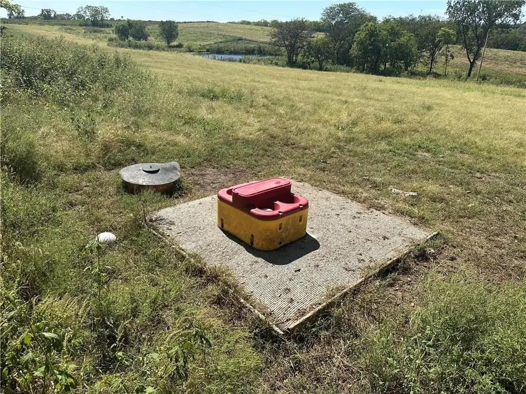 Picture 17