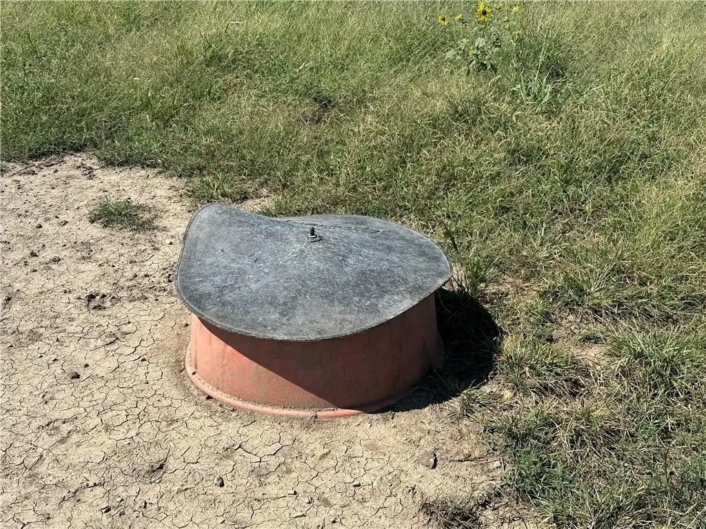 Picture 10