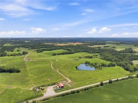 Cattle Farm With Pasture