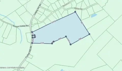 33.5 Acres Wooded Land Tract