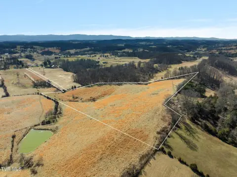 Unrestricted Land in Fall Branch