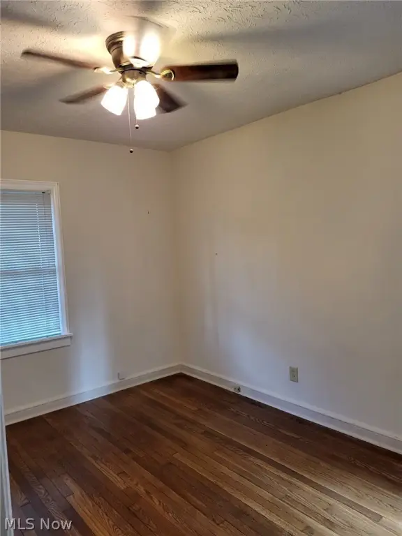 Picture 21