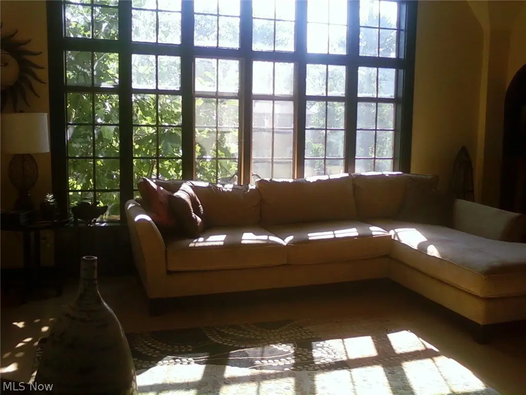 Picture 7