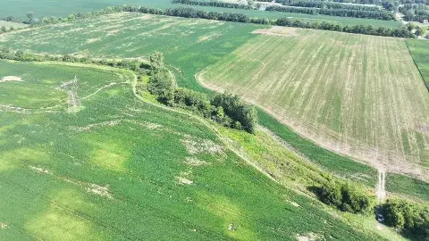 Serene 5-Acre Land Parcel