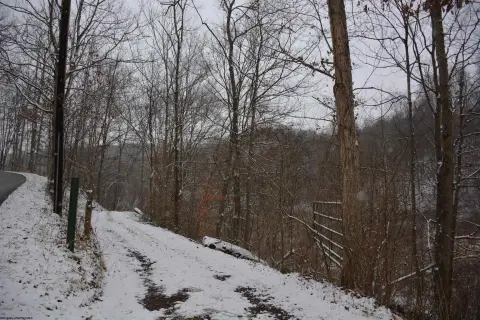 46 Acres Recreational Land in Roanoke
