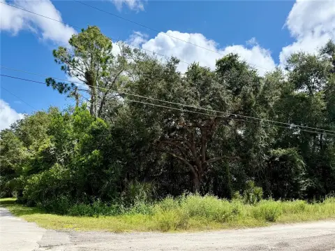 EUSTIS, FL Agricultural Corner Parcel