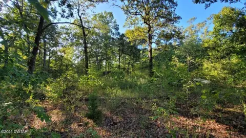 Land For Sale, Lexington, TN