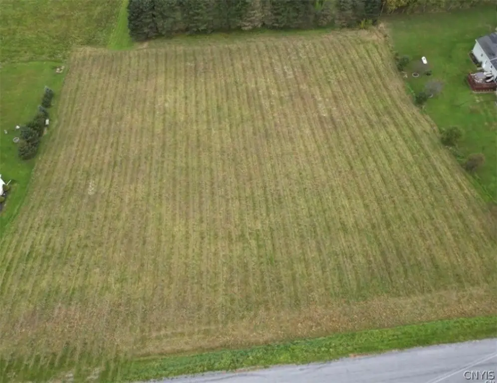 Picture 3
