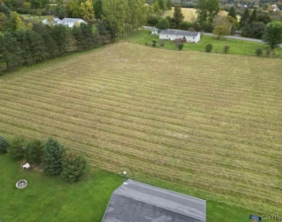 Picture 5