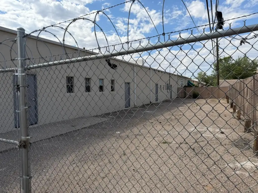 Picture 5