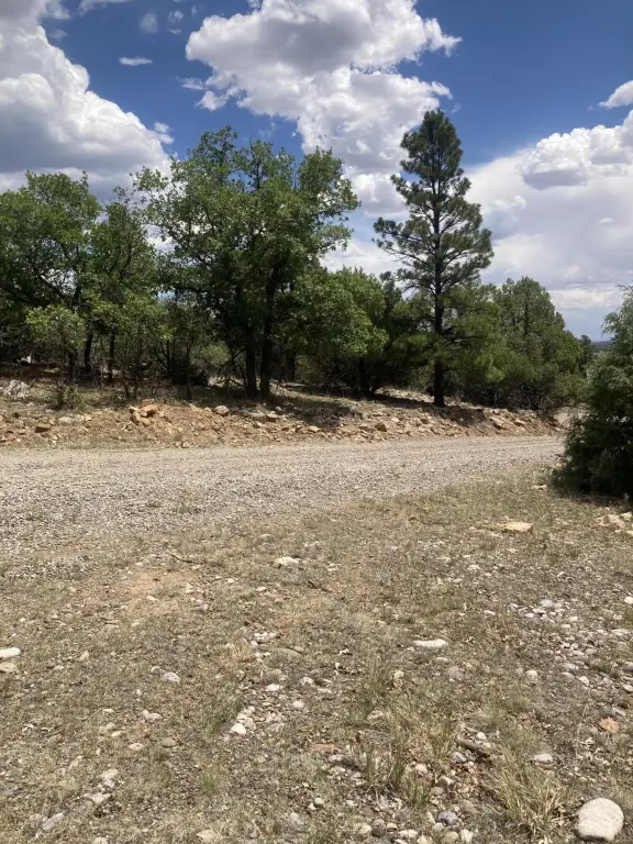 Picture 5