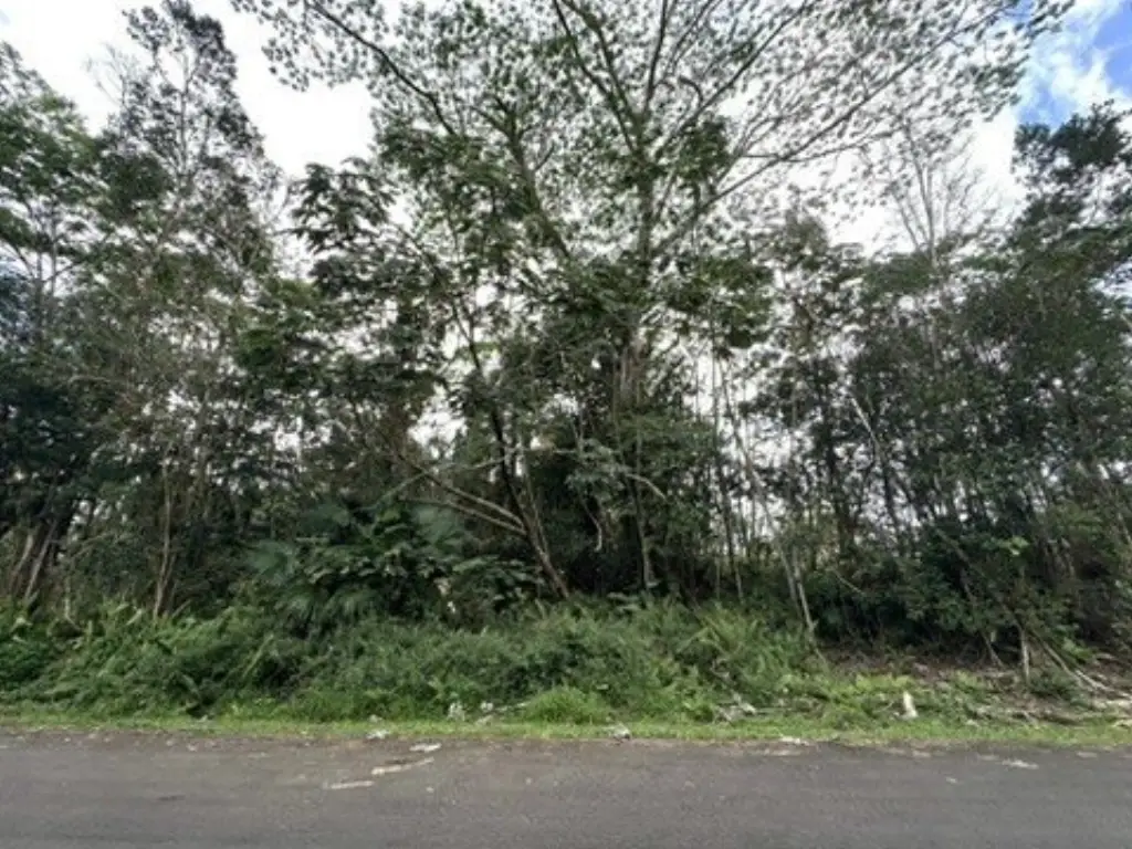 Picture 4