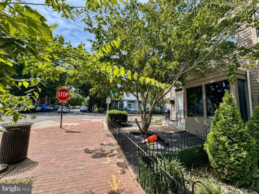 Picture 29
