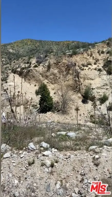 Picture 2