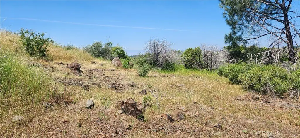 Picture 23