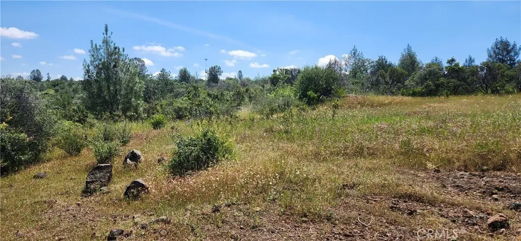 Picture 20