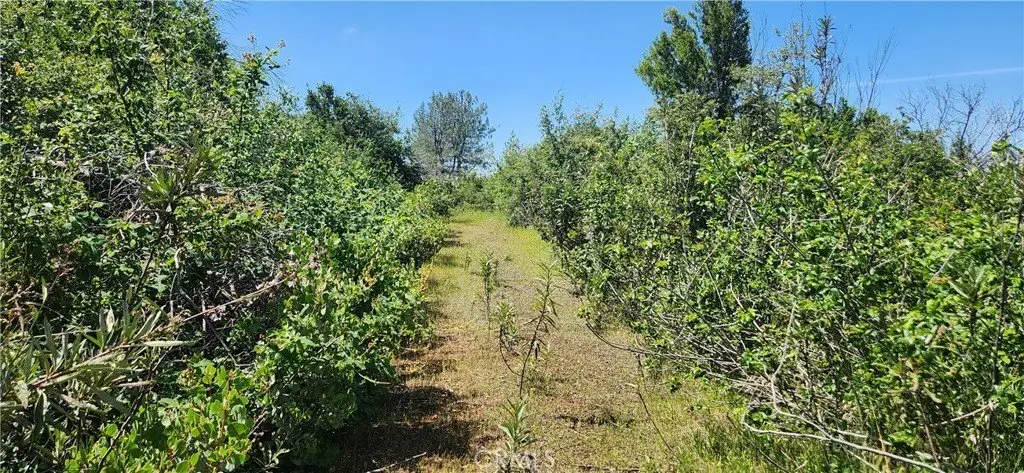 Picture 7