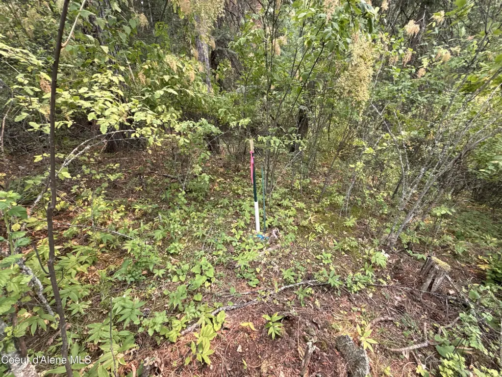 Picture 27