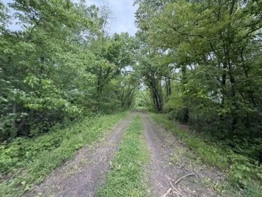 Picture 32