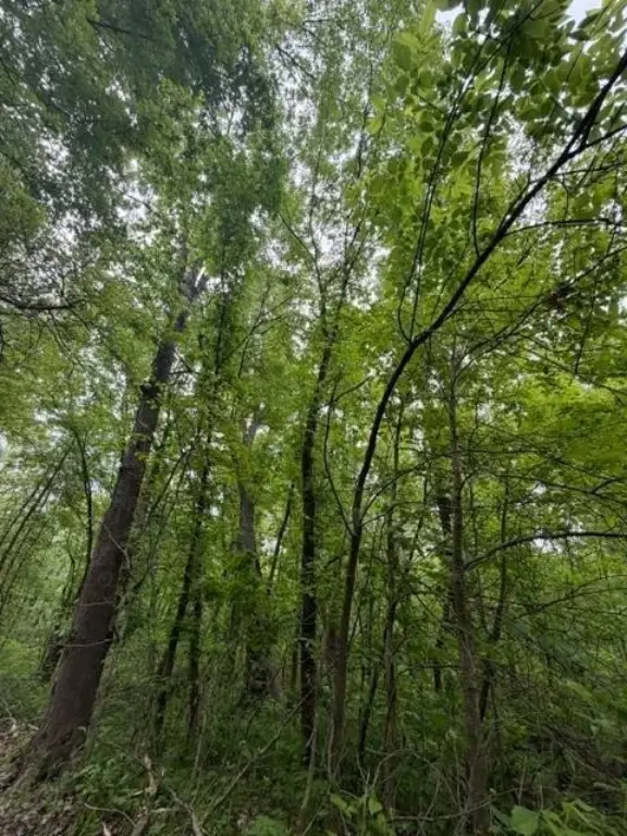 Picture 16