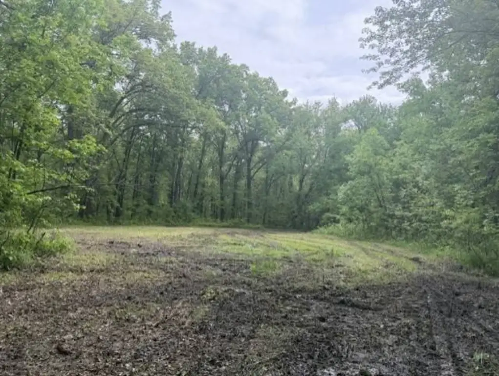 Picture 14