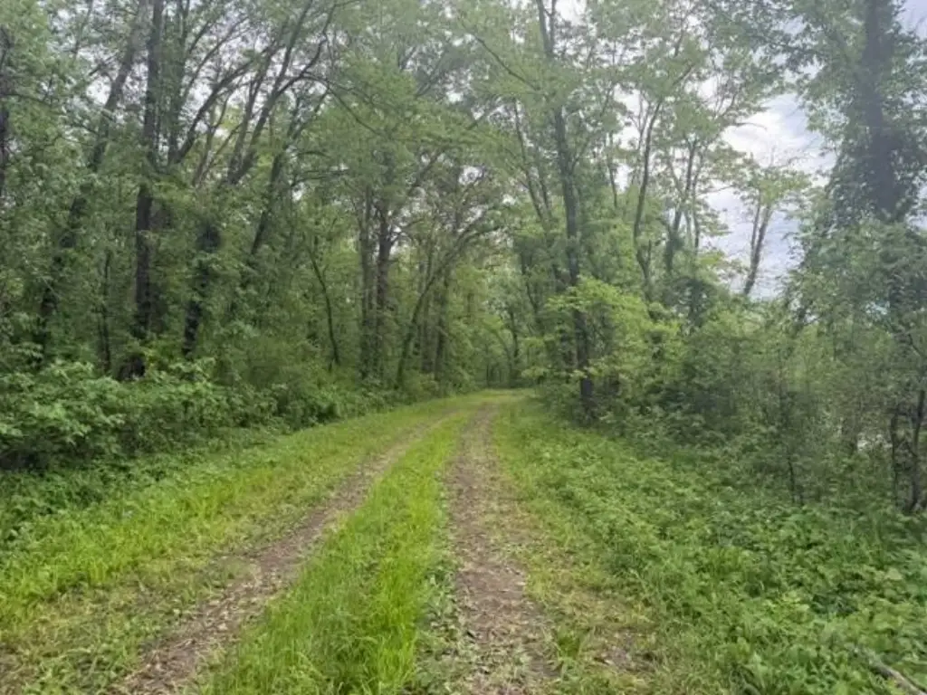 Picture 7