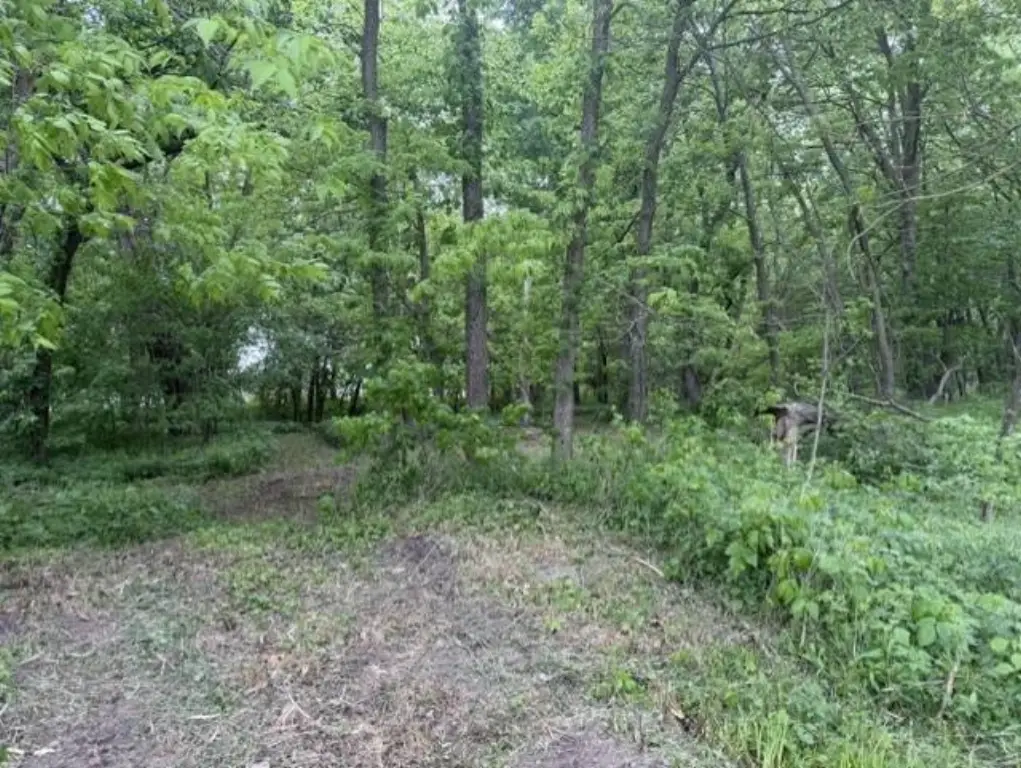 Picture 11