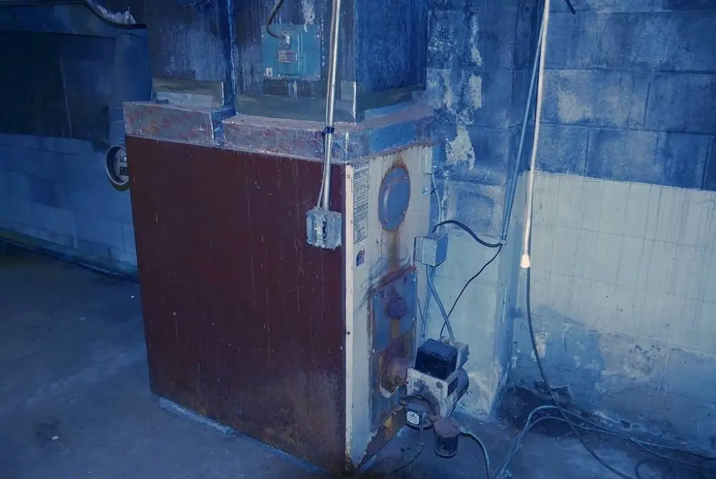 Picture 23