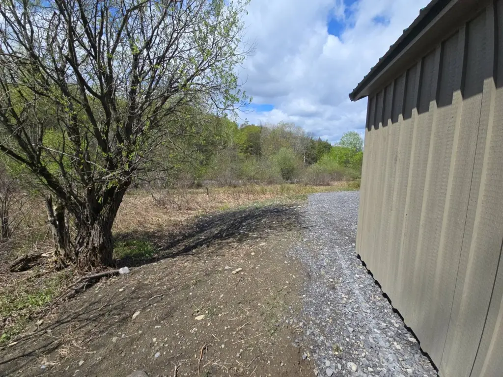Picture 48