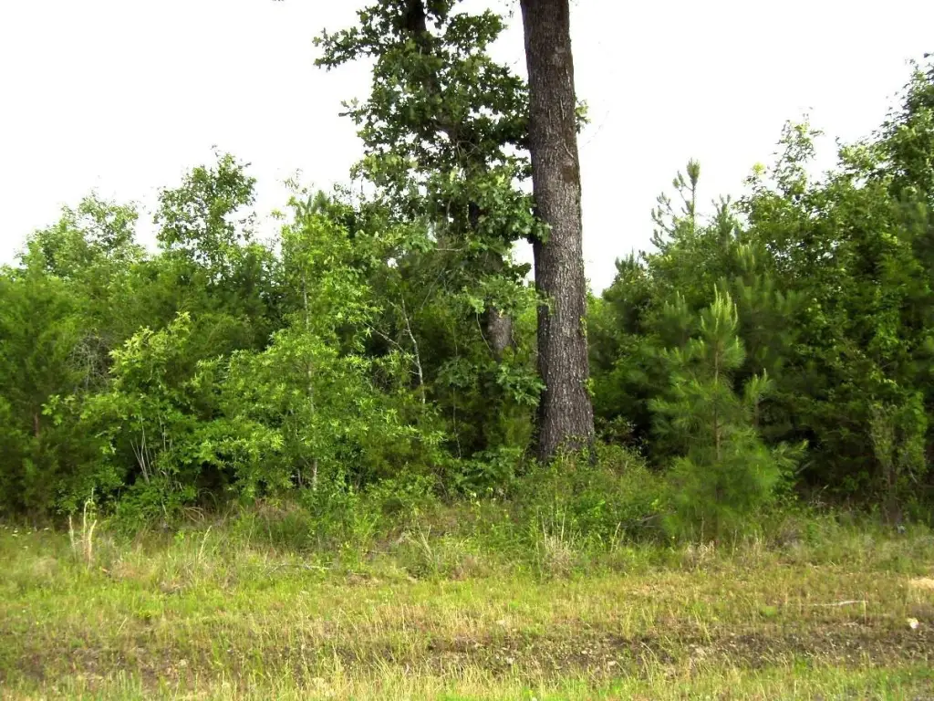 Picture 9