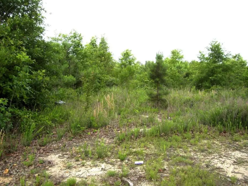 Picture 2