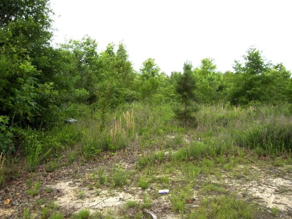 Picture 10