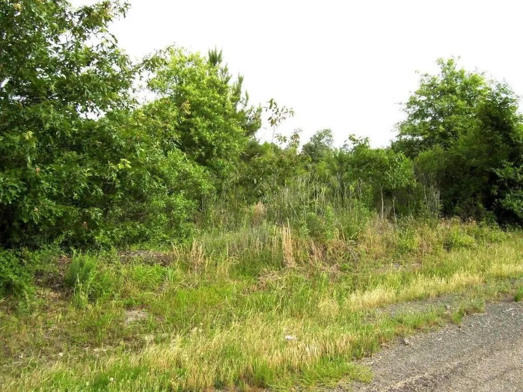 Picture 8