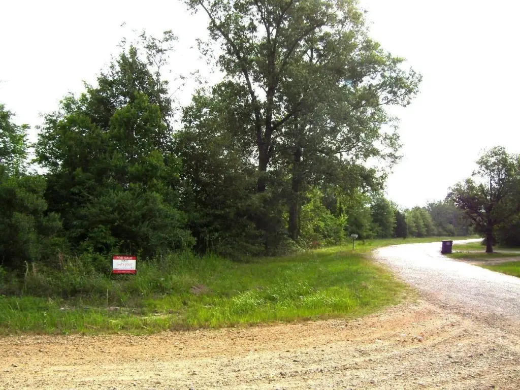 Picture 4